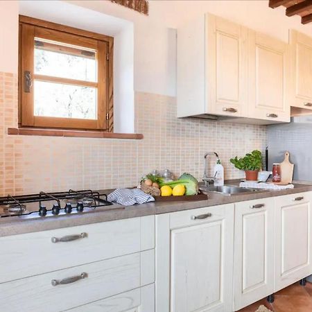 Olive House Tuscany - Zona Pisa Calci Exterior photo