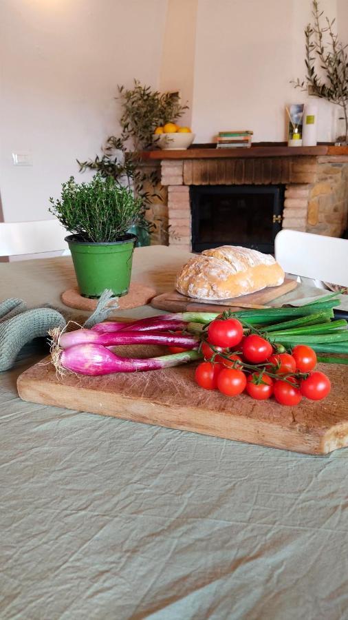 Olive House Tuscany - Zona Pisa Calci Exterior photo