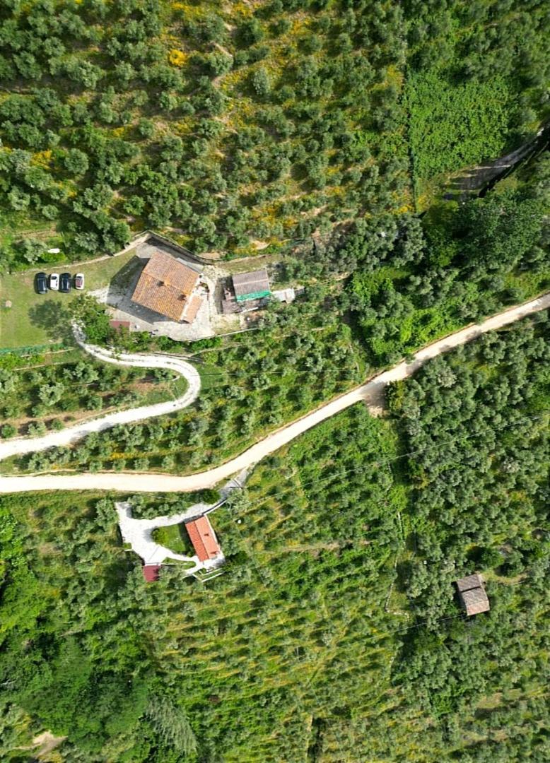 Olive House Tuscany - Zona Pisa Calci Exterior photo